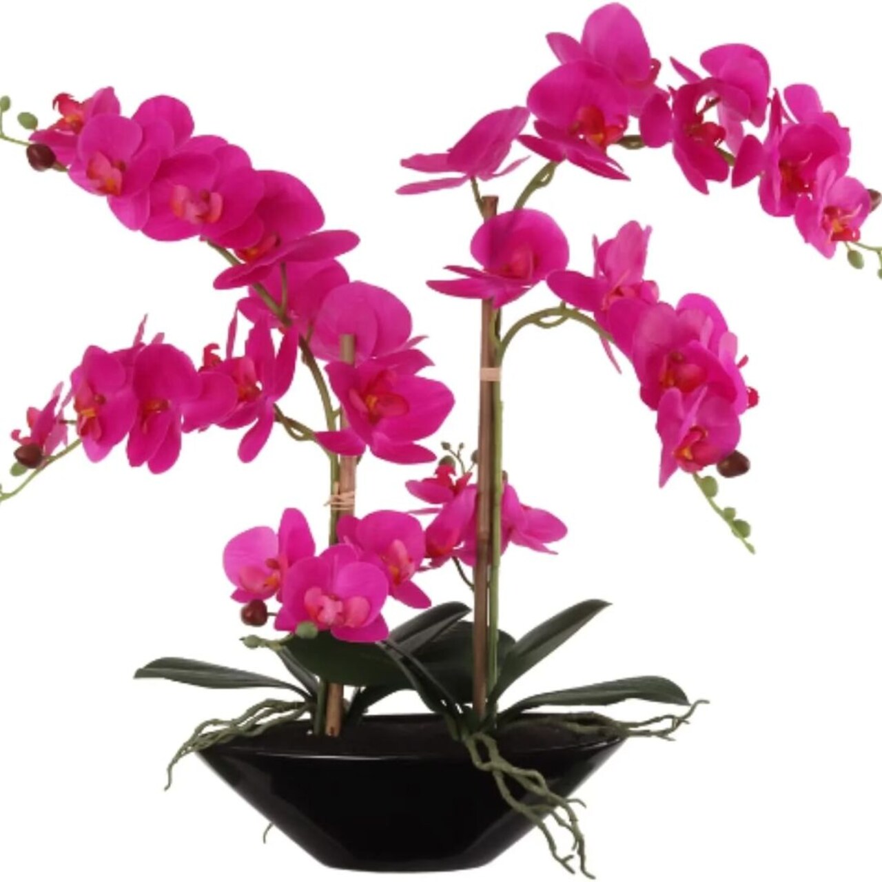 Fuchsia Phalaenopsis Orchid 20" with 6 Buds in Black Vase - Lifelike Silk Flower Arrangement for Elegant Home & Office Decor - Realistic Orchid Design, Floral Home by Artificial Flowers